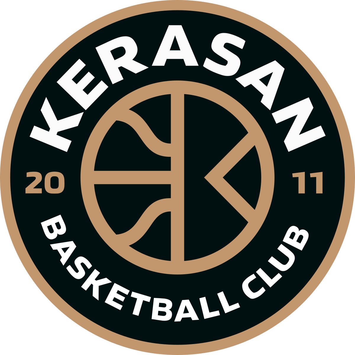 Team logo